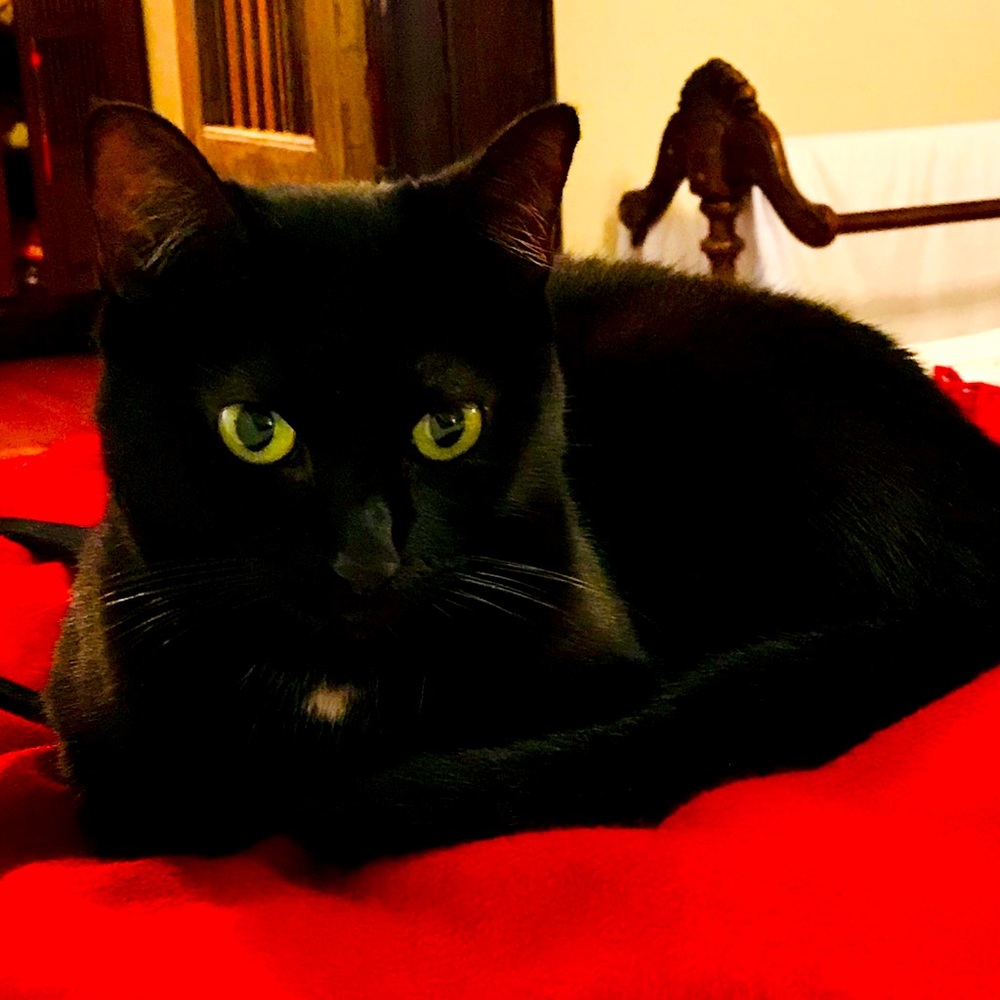 Meet your Posher, Maria